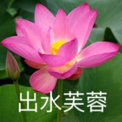 “贞观——李世民的盛世长歌”展览在京开展